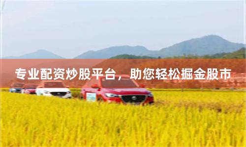 专业配资炒股平台，助您轻松掘金股市